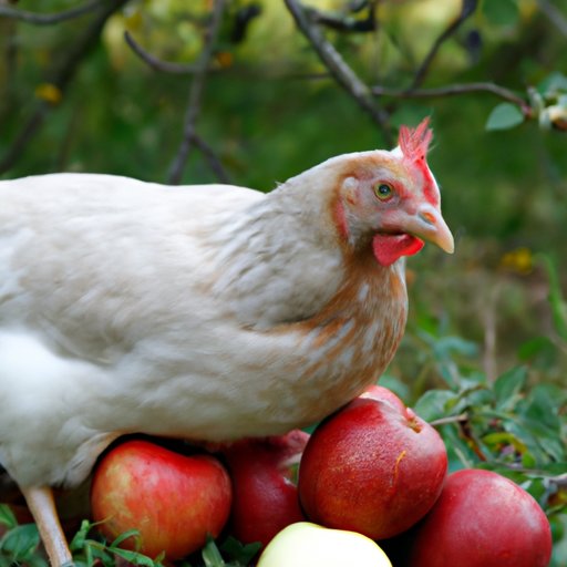 What to Consider When Feeding Apples to Chickens