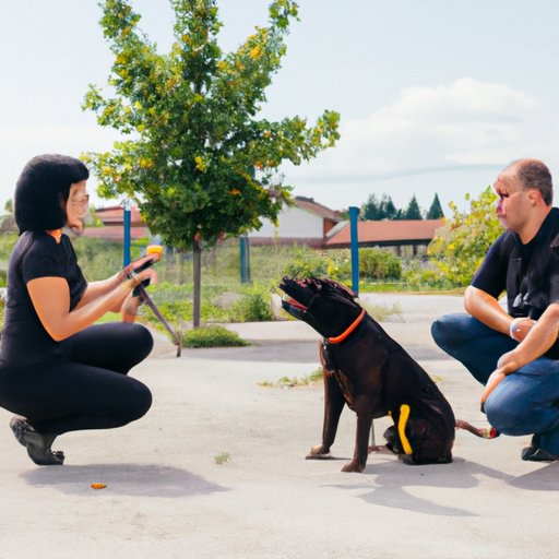 Interview with a Professional Dog Trainer