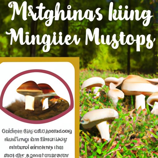 How to Identify and Avoid Dangerous Mushrooms for Your Dog