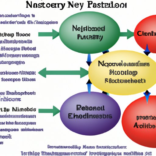 The Role of Neurotransmitters in Mood Regulation