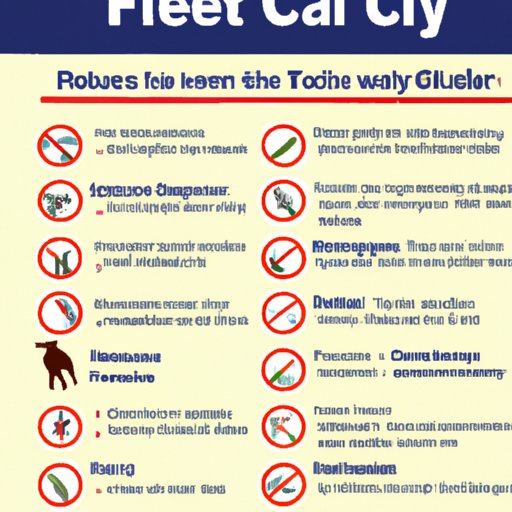 Signs and Symptoms of a Flea Infestation in Humans