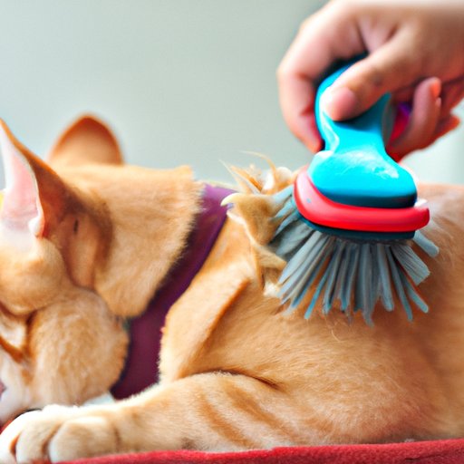 The Benefits of Regular Pet Grooming to Control Flea Spread