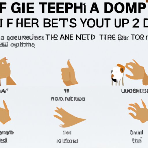 A Guide to Recognizing Flea Bites on Humans