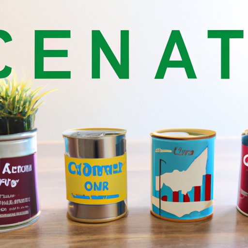 An Overview of the Can I Market and Potential Investment Opportunities