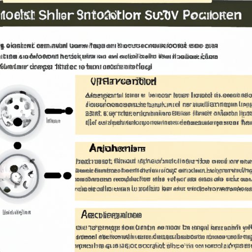 Overview of the Possibilities and Benefits of Creating Your Own AI System