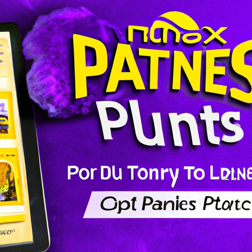 Tips for Making the Most Out of Your Planet Fitness Online Membership