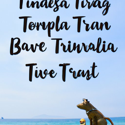 Tips for Planning an Affordable Trip to Indonesia from the US