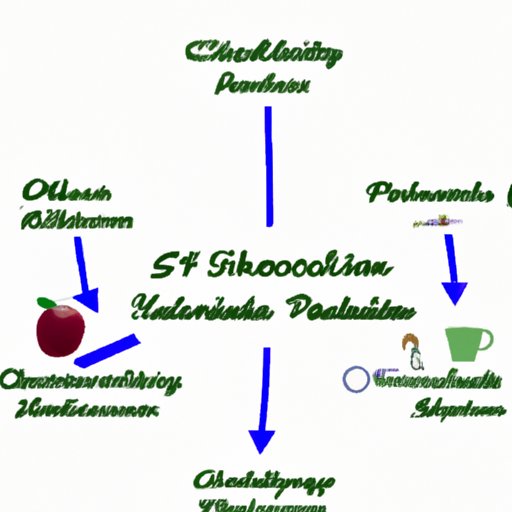 Evaluating the Different Paths to Becoming a Nutritionist with a Health Science Degree