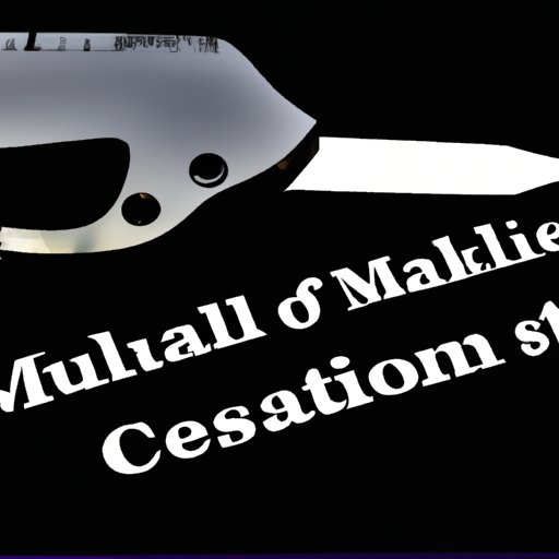 Examining the Potential Risks of Allowing People with Mental Health Issues to Buy Guns