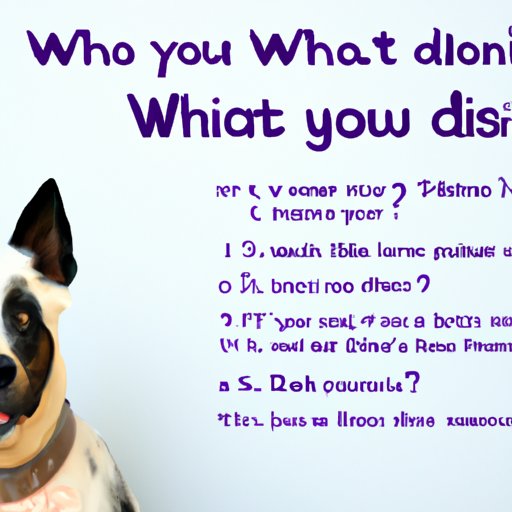 Questions to Ask Before Financing a Dog