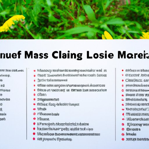 An Overview of Financing Closing Costs into Your Mortgage: What to Consider Before Making a Decision