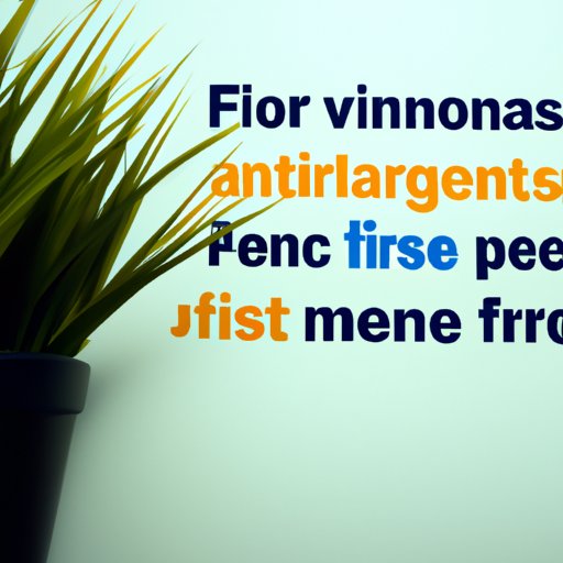 Strategies for Financing the VA Funding Fee