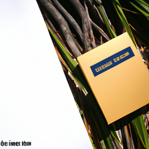 Pros and Cons of Taking out a Title Loan on a Financed Car