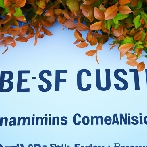 Strategies for Maximizing Financial Aid Awards at Community Colleges