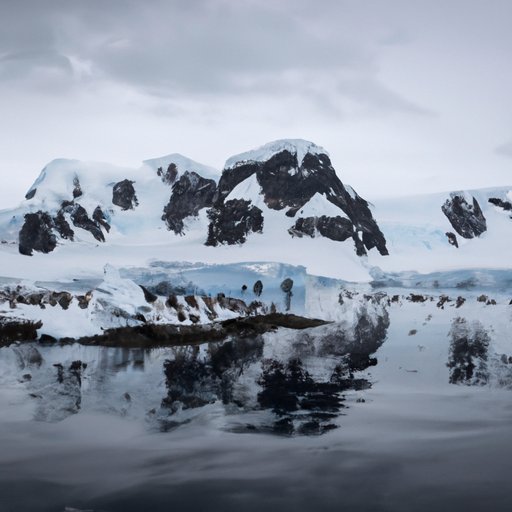 Experiencing the Wildlife and Nature of Antarctica