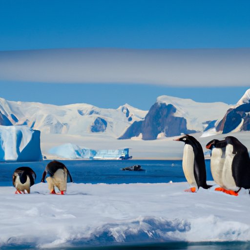 Planning an Antarctic Adventure: What You Need to Know Before Traveling
