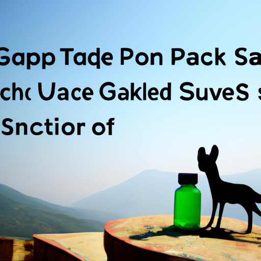 Tips on How to Stay Safe While Traveling in Pakistan Without a Vaccine