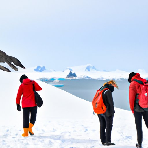 Exploring the South Pole: A Guide to Traveling to Antarctica