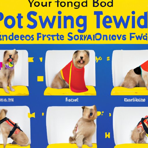 How to Prepare Your Pet for Flying on Southwest Airlines
