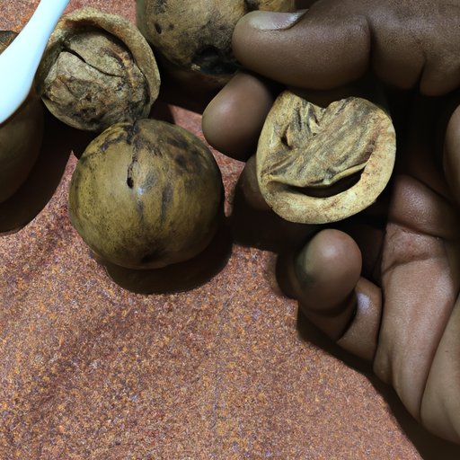Exploring the Effects of Nutmeg on the Mind and Body