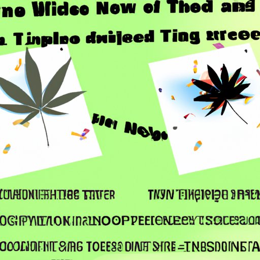 Looking into the Pros and Cons of Tripping on Weed