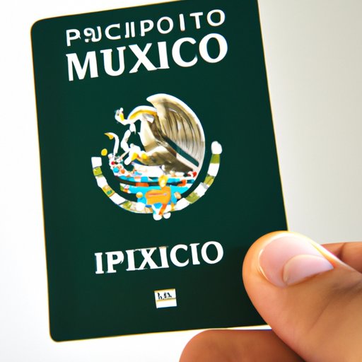 How to Obtain a Travel ID for Visiting Mexico