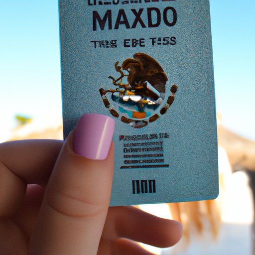 All You Need to Know About Using a Travel ID in Mexico