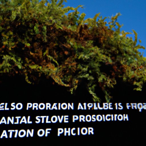 Pros and Cons of Using Rangefinders on the PGA Tour