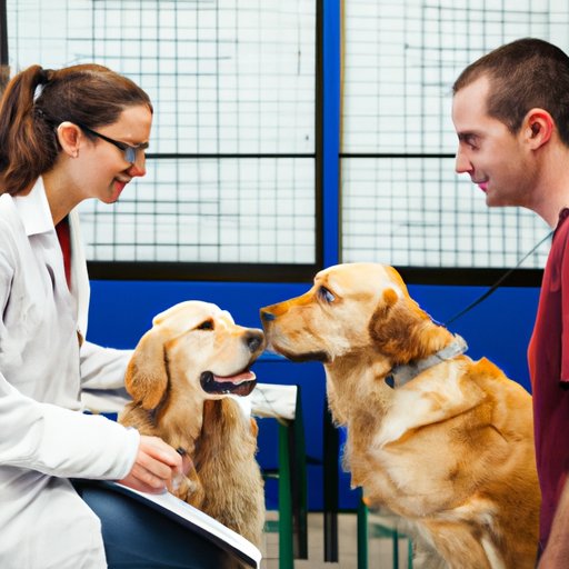 Examining the Research on Canine Empathy