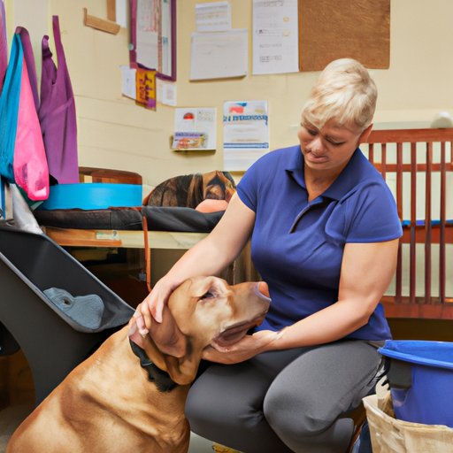 Investigating Support Animals Trained to Help People with Mental Health Issues