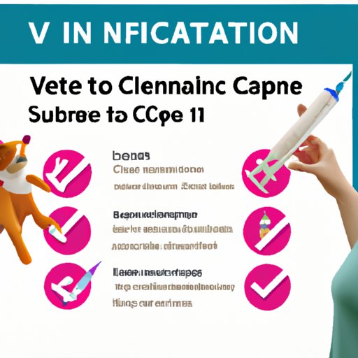 A Guide to Vaccination Requirements When Travelling to Canada