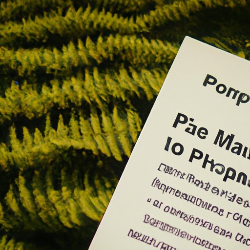 A Guide to Navigating the Medicare Part B Enrollment Process