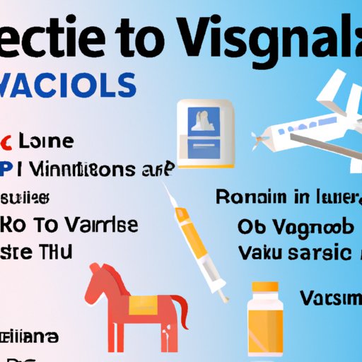 What You Need to Know Before Visiting the US: Vaccines and Other Health Requirements