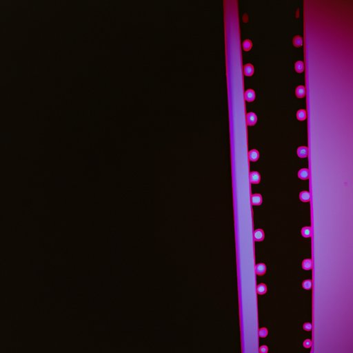 An Exploration of the Negative Reception of the Film