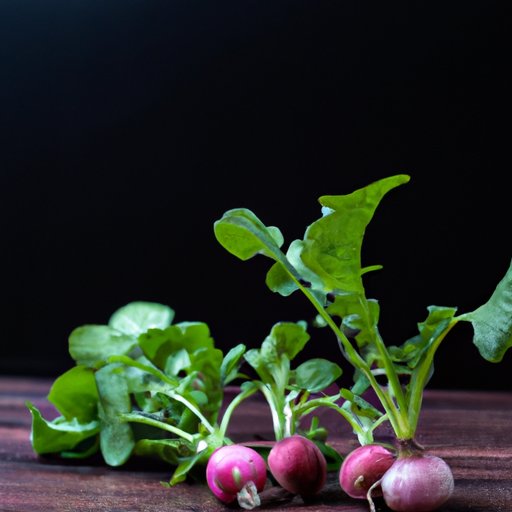 The Nutrients in Radishes and Their Impact on Your Health