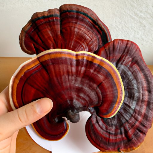 Exploring the Psychedelic Properties of Reishi Mushrooms