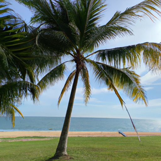 Benefits of Taking Vacation as a Resident