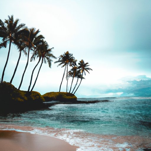 Tips for Making the Most Out of Your Trip to Hawaii Without the Vaccine