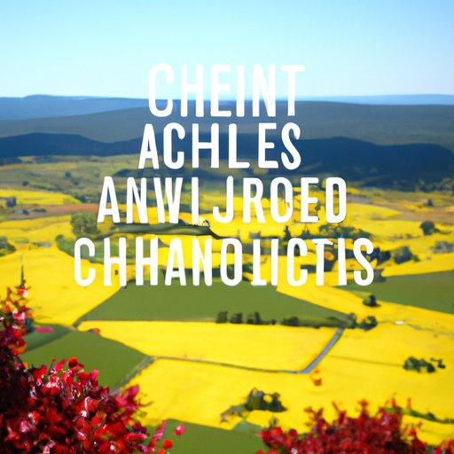 Overview of Strategies for Reducing Travel Costs for AGT Contestants