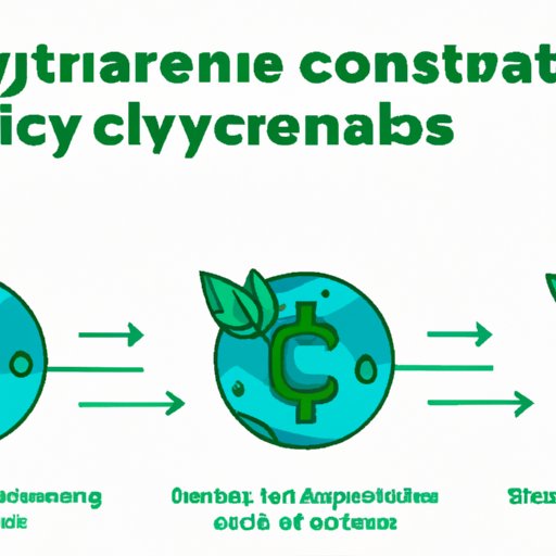 Introduction: Overview of Cryptocurrency and its Environmental Impact