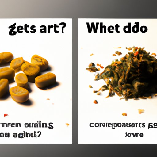 A Look at the Pros and Cons of Eating Weed