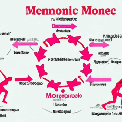 Definition of Exercise and Menstrual Cycle