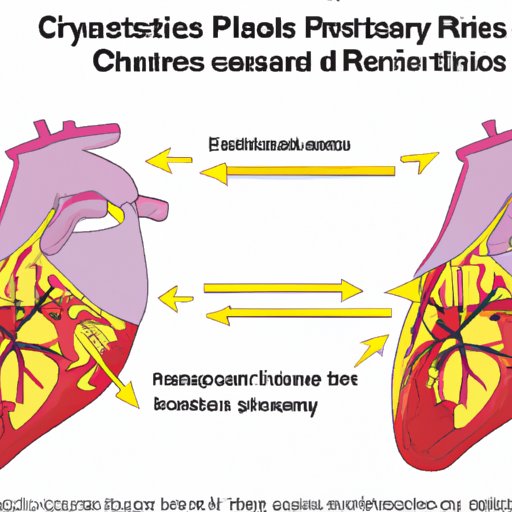 Exploring Possible Physiological Mechanisms Behind the Relief of Chest Pain Through Exercise