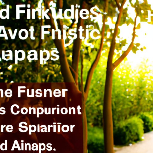 Tips for Finding Additional Financial Aid Sources for Summer Courses