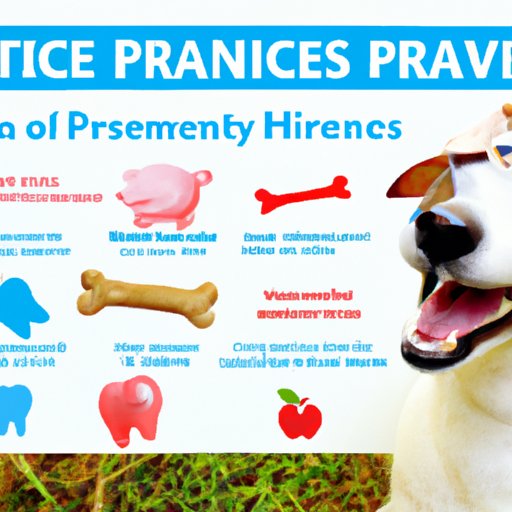 Overview of Healthy Paws Pet Insurance and its Dental Coverage