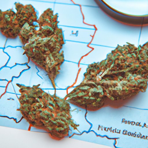 Investigating the Availability of Medical Marijuana in Different Regions