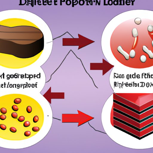 The Role of Protein and Fat Intake in Regulating Blood Lipids