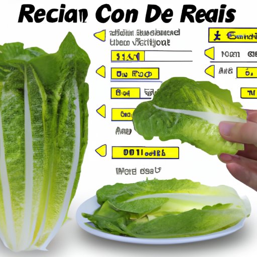 How to Incorporate Romaine Lettuce into Your Diet for Maximum Nutritional Value