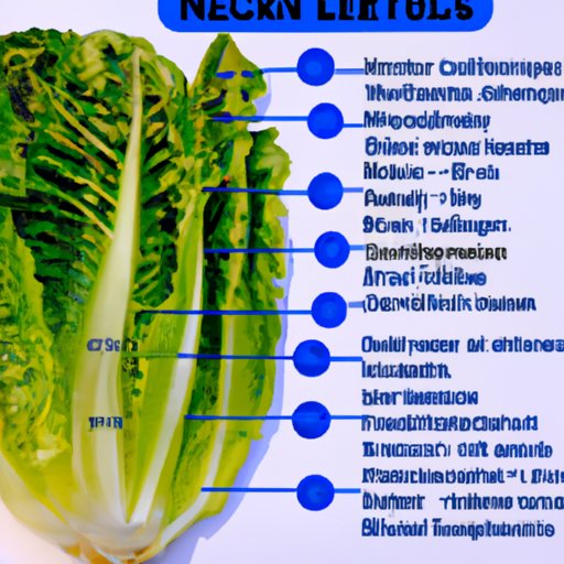 An Overview of the Nutrients Found in Romaine Lettuce