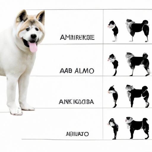 A Comprehensive Guide to the Size of an Akita